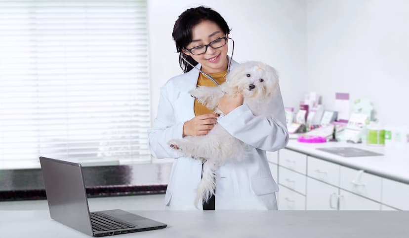 10 Ways to Generate Leads for Veterinarian Practices