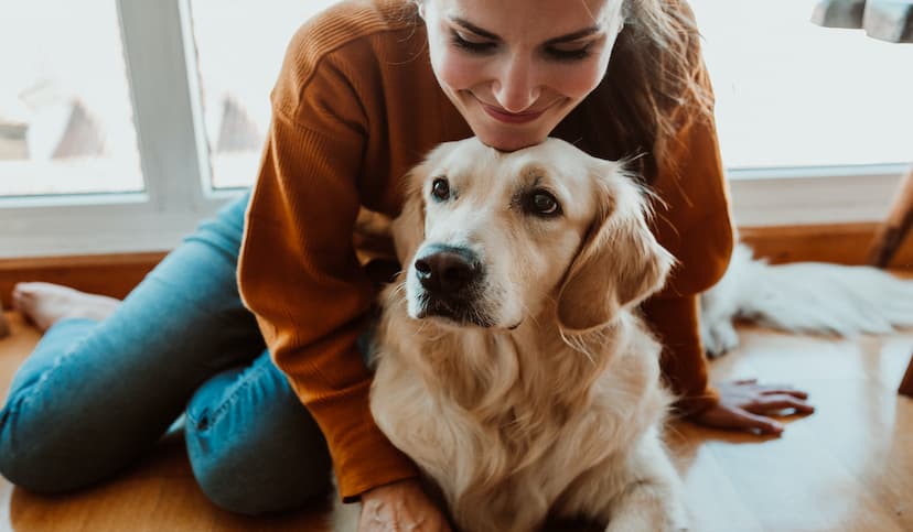 10 Automation Ideas for Pet Care